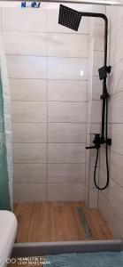 a bathroom with a shower with a flag on the wall at Η Αρμενόπετρα in Yerolimin