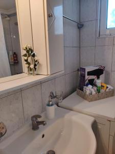 a bathroom counter with a sink and a mirror at Mixaleas apartments in Kalamata
