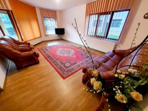 a living room with a leather couch and a red rug at Pensiunea Geta in Rucăr