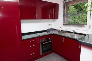 a kitchen with red cabinets and a sink and a window at Appartement located at 15 mn from Paris & Orly in Choisy-le-Roi