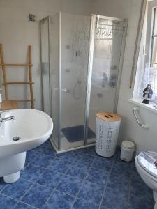 ein Bad mit einer Dusche, einem Waschbecken und einem WC in der Unterkunft FeWo Weismark in Trier