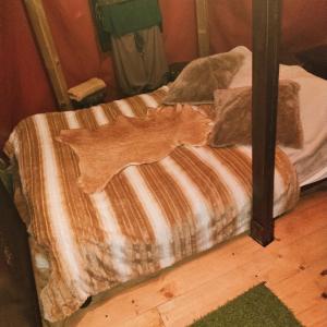 ヴァランセにあるLe Camp du Chevalierのベッドの上に寝た猫