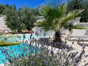 een tuin met paarse bloemen en palmbomen en een zwembad bij Apartments and Rooms Mateša in Vodice