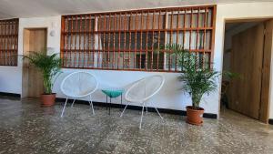 カルタヘナ・デ・インディアスにあるHotel M4 Económico Estándarの植物のある部屋に座る白い椅子2脚