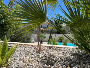 a gravel garden with palm trees and a pool at Apartments and Rooms Mateša in Vodice