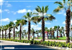 a row of palm trees in a park at Porto said Resort - Luxury Studio Seaview 43 m2 شالية إستوديو فندقي فاخر فيو البحر in `Ezbet Shalabi el-Rûdi
