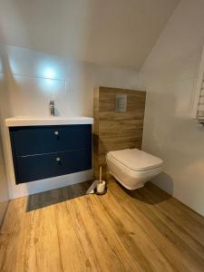 シュトゥトボにあるMiLeśnik- domek całorocznyのバスルーム(青いキャビネット、トイレ付)