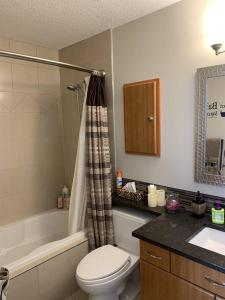 a bathroom with a toilet and a sink and a shower at Dragonfly Inn Loft & Walkout Suites in Sherwood Park