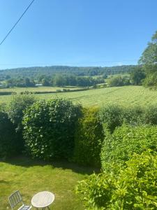 a hedge with a table and chairs in a field at Bewerley Hall farm in Harrogate