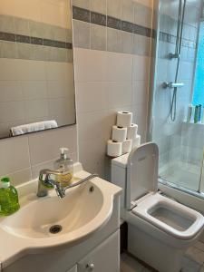 uma casa de banho com um lavatório, um WC e um chuveiro em 2 large bedroom apartment in central London em Londres