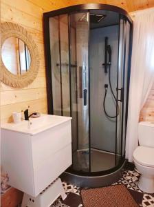 W łazience znajduje się prysznic, umywalka i toaleta. w obiekcie Dreamholia w Jastarni
