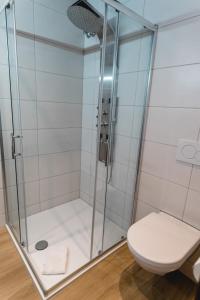 a bathroom with a shower with a toilet at Hotel Reiterhof-Altmühlsee in Gunzenhausen
