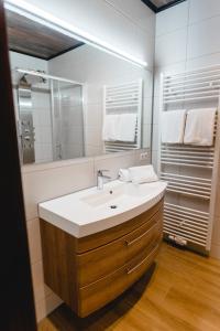 a bathroom with a sink and a large mirror at Hotel Reiterhof-Altmühlsee in Gunzenhausen