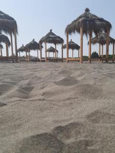 een groep rieten parasols op een strand bij VILA PUSHIMI REGIS in Velipojë