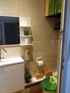 ein Badezimmer mit einem Waschbecken, einem WC und einem Spiegel in der Unterkunft Cosy petit appartement in Gignac