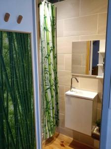 ein Badezimmer mit einem grünen Duschvorhang und einem Waschbecken in der Unterkunft Cosy petit appartement in Gignac