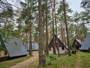 un groupe de maisons dans les bois avec des arbres dans l'établissement Jak Tu Sielsko, à Osiek