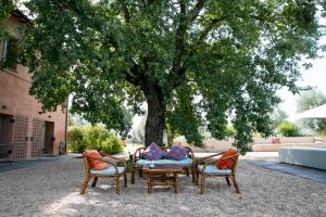 a group of chairs and a table under a tree at Tenuta Di Paternostro in Vetralla