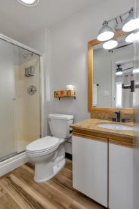 a bathroom with a toilet and a sink and a mirror at Highliner Hotel - King Rooms with City & Park Views in Anchorage