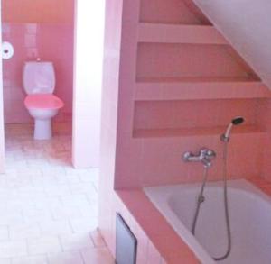 a bathroom with a toilet and a bath tub at Penzion u Jakuba in Svoboda nad Úpou