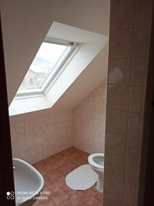 a bathroom with a toilet and a skylight at Penzion u Jakuba in Svoboda nad Úpou