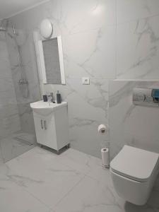 ein weißes Bad mit einem WC und einem Waschbecken in der Unterkunft Casa Venus in Sînmartin