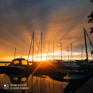 a group of boats docked in a marina at sunset at Domki Letniskowe in Nowe Warpno