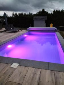 a swimming pool with purple lighting on a deck at Trees Fontain in Jalhay