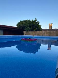 un bateau assis dans une piscine d'eau dans l'établissement Casa Gorjão, à Anadia