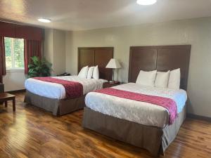 two beds in a hotel room with wood floors at Red Carpet Inn Medford in Medford +24 photos