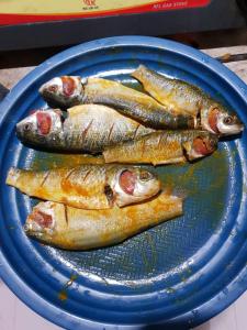 quatro peixes num prato azul numa mesa em Sunapur Mini Resort Sylhet em Sylhet
