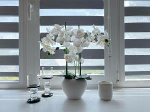 Ảnh trong thư viện ảnh của Balvi apartment ở Balvi
