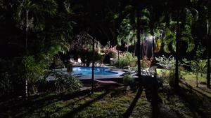 uma piscina num quintal com palmeiras em Villas jungle 5 em Sámara
