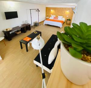 a large living room with a bed and a plant at Casa Gercko 3 in Yaiza