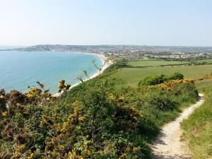 a path on the side of a hill overlooking a beach at Beachcomber Holiday Apartments in Swanage