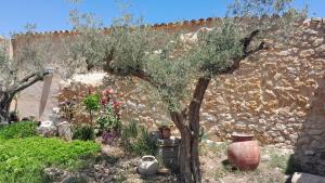einen Garten mit einem Baum und einer Steinmauer in der Unterkunft Casa Rodriguillo in Pinoso