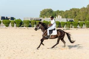 Ospiti di HDB Al Khobar Resort & Spa