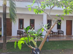Zahrada ubytování Kutabay Homestay