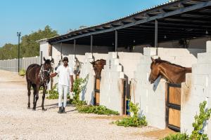 Altri animali domestici presso il resort o nei dintorni