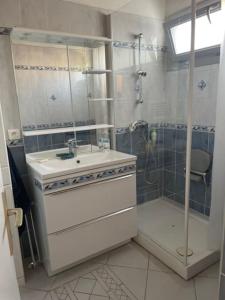 ein weißes Bad mit einem Waschbecken und einer Dusche in der Unterkunft Superbe appartement st mandrier à 100mde la plage in Saint-Mandrier-sur-Mer