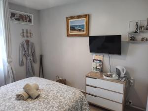 a bedroom with a bed and a tv and a dresser at Un Coin de Paradis à Doue , 40 minutes Disneyland in Doue