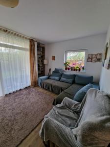a living room with a couch and a window at Harmony Haven - Spacious 4BR House with Free Parking in Cluj-Napoca