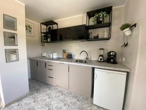 a kitchen with a sink and a counter top at Apartament No. 2 in Łeba