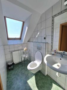 a bathroom with a toilet and a sink at Michałowa Zagroda in Piechowice