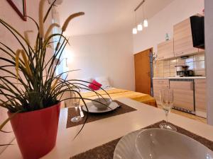 Kuchyňa alebo kuchynka v ubytovaní Apartment Jelena Vir
