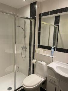 a bathroom with a shower and a toilet and a sink at Lovely Calm Independent Home in Belvedere