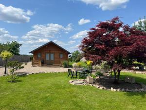 Cabaña de madera con mesa de picnic y árbol en Relax domki Zator, en Zator