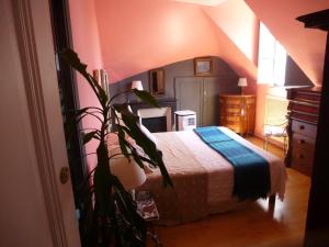 Afbeelding uit fotogalerij van La Petite Vigne in Amboise +58 foto's