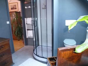 アンボワーズにあるLa Petite Vigneのバスルーム(ガラス張りのシャワー、トイレ付)