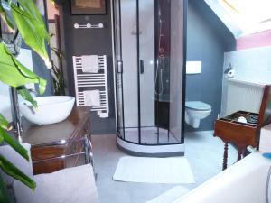 a bathroom with a glass shower and a toilet at La Petite Vigne in Amboise
